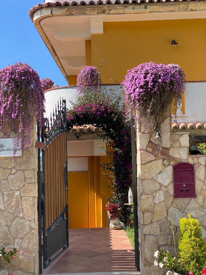 Rosa Dei Venti Accomodation Tropea Ngoại thất bức ảnh